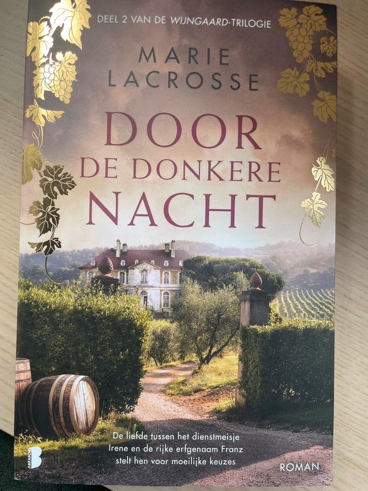 Marie Lacrosse - Door de donkere nacht, Livres, Littérature, Enlèvement ou Envoi