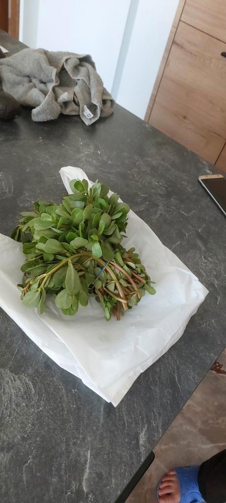 Biologische Postelein – €2 per bosje!, Zakelijke goederen, Landbouw | Aardappelen, Groenten, Fruit en Vlees, Ophalen
