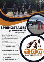 Springstages TDM horses, B