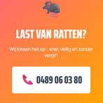 Ratten Probleem Wij lossen dit op, Souris ou Rats