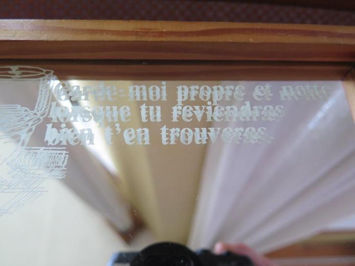 grappig spiegeltje voor het toilet, Huis en Inrichting, Woonaccessoires | Spiegels, Zo goed als nieuw, Minder dan 50 cm, Minder dan 100 cm