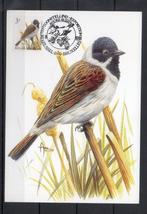 Année 1991 : Carte maximum 2425 - Oiseaux - Bruant des rosea, Timbres & Monnaies, Timbres | Europe | Belgique, Enlèvement ou Envoi