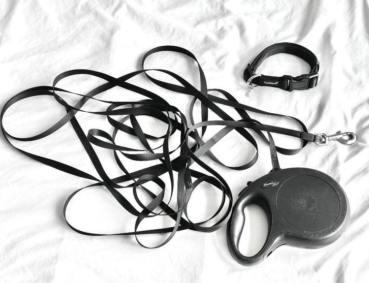 Longe 8m + collier pour chien NEW, Dieren en Toebehoren, Hondenriemen, Zo goed als nieuw, Hondenriem, Ophalen