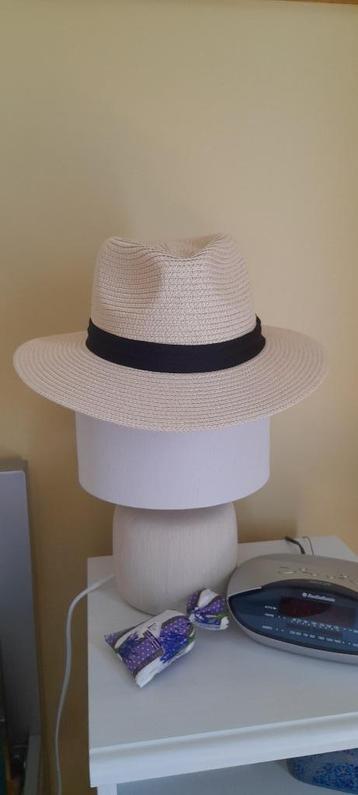 ZOMERS HOED beschikbaar voor biedingen