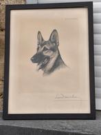 Gravure berger allemand signe Léon danchin, Antiek en Kunst, Ophalen of Verzenden