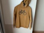 Trui met kap, Ophalen of Verzenden, Gebruikt, Jongen, Trui of Vest