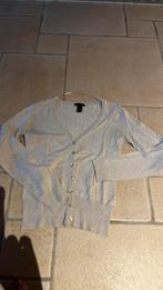Nieuwe gilet maat xs, Ophalen of Verzenden, Zo goed als nieuw, Maat 34 (XS) of kleiner