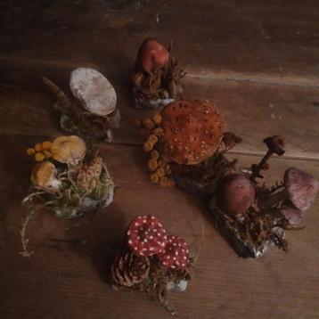 Prachtige botanische paddenstoelen papier-mâche  beschikbaar voor biedingen