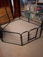 Ren hond, Dieren en Toebehoren, Hondenhokken, Ophalen, Zo goed als nieuw, 65 tot 100 cm