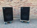 Paar SOLTON SA415 SUBS 15” , ingebouwd filter tbv satelliet, Audio, Tv en Foto, Luidsprekerboxen, Ophalen, Zo goed als nieuw, 120 watt of meer