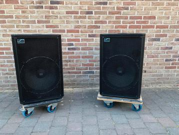 Paar SOLTON SA415 SUBS 15” , ingebouwd filter tbv satelliet beschikbaar voor biedingen