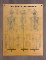 Vintage educatieve pvc poster, Ophalen