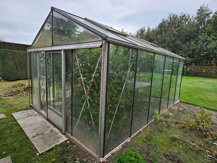 Serre - Euro-serre type EURO-MAXI, Tuin en Terras, Kassen, Gebruikt, Aluminium, Glas, Ophalen