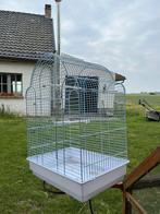 Vogelkooi, Dieren en Toebehoren, Ophalen, Vogelkooi