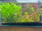Aquarium 60 litres, Ophalen, Zo goed als nieuw