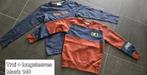 Pull + longsleeve Raizzed, Kinderen en Baby's, Kinderkleding | Maat 140, Ophalen of Verzenden, Zo goed als nieuw, Jongen, Trui of Vest