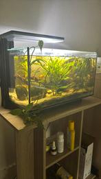 Volledige aquarium set, Dieren en Toebehoren, Ophalen, Zo goed als nieuw