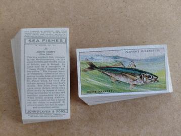 Sea Fishes complete set 50 vintage chromos vissen 1935 beschikbaar voor biedingen