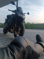 Yamaha fz1 fazer, Motoren, Motoren | Yamaha, Particulier, Sport