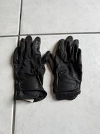 Paardij handschoenen, Ophalen, Gebruikt, Dames, Overige typen