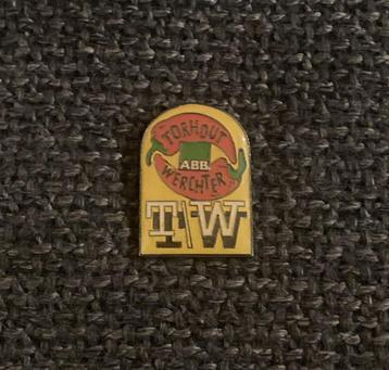 PIN - TORHOUT - WERCHTER - TW - FESTIVAL, Envoi, Utilisé, Autres sujets/thèmes, Insigne ou Pin's