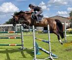 Trainen, uitbrengen of zadelmak maken van uw paard, Zadelmak