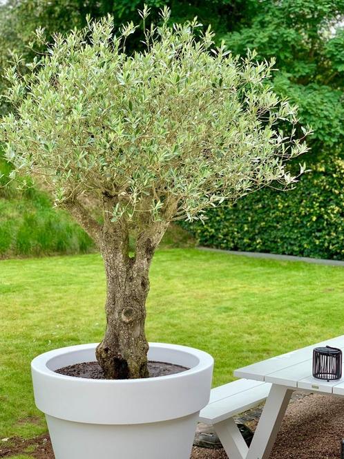bloempotten, Tuin en Terras, Bloempotten, Binnen, Ophalen