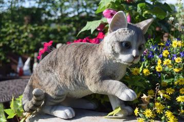 Schitterende grijze gestreepte kat van hoogwaardig polyresin