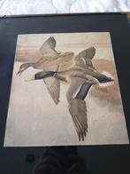 Francis Lee Jacques mallards wilde eenden kader, Ophalen of Verzenden, Gebruikt, Minder dan 50 cm, Minder dan 50 cm