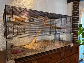 Cage pour rongeurs, 90 cm ou plus, Cobaye, 75 à 110 cm, Cage