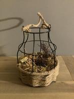 Panier pour plante H 25 cm, Enlèvement ou Envoi, Autres espèces, Moins de 100 cm