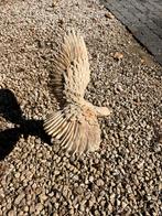 Mooi havik beeld te koop, zeer kleine schade, Enlèvement