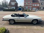 Jaguar XJ-S Cabrio 5.3 V12 in originele lak, tip-top in orde, Cuir, 299 ch, Achat, Entreprise