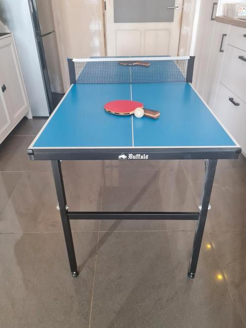 Table de Ping Pong Buffalo d'extérieur bleue 