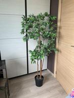 2 nieuwe kunstplanten  Ikea , apart verkrijgbaar, Ophalen, Nieuw, Binnen