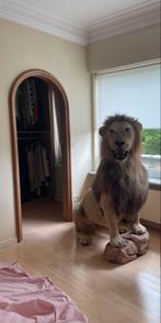 Leeuw taxidermie, Ophalen, Zo goed als nieuw, Wild dier, Opgezet dier
