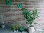 Plante palmier artificiel avec pot en osier, Maison & Meubles, Accessoires pour la Maison | Plantes & Fleurs artificielles, Comme neuf