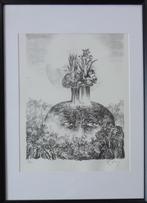 FRANS MINNAERT / HOOFD / ZW-W LITHO / 72x52cm / KADER / SIG, Antiek en Kunst, Ophalen