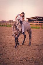 Meerdere paarden/pony's, Dieren en Toebehoren, Paarden, Merrie, Z