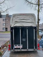 Paardentrailer, Enlèvement, Utilisé, Bois, Remorque 2 chevaux