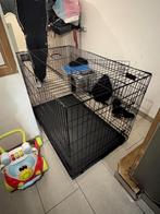 Cage pour chien, Enlèvement, Neuf