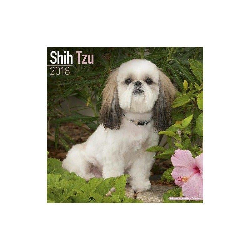 Calendrier Shih Tzu 2018, Divers, Calendriers, Enlèvement ou Envoi, Calendrier annuel, Neuf