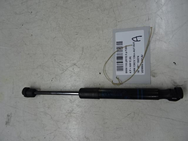 VERIN DE CAPOT BMW 1 serie (F20) (01-2010/06-2019), Autos : Pièces & Accessoires, Utilisé, BMW