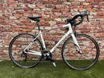 Specialized Dolce Comp 57, 28 inch, Gebruikt, 56 cm of meer, Meer dan 20 versnellingen
