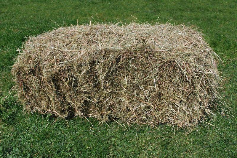 Hooi 1ste snede 2026 te koop gevraagd: ophalen van't veld, Enlèvement, Bétail