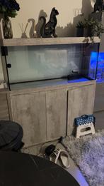Aquatlatis splendid ultra 240 te koop, Dieren en Toebehoren, Ophalen, Gebruikt, Leeg aquarium, Aquatlantis