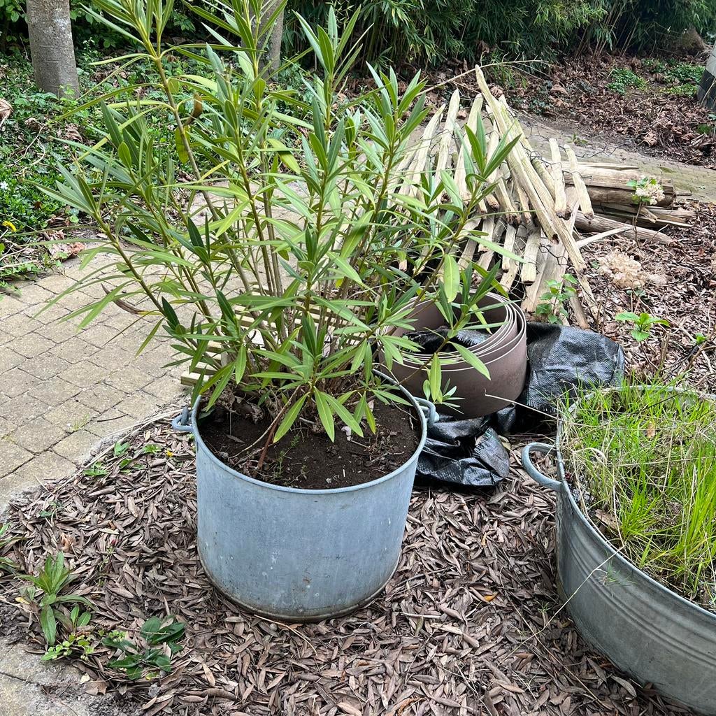3 Zinken kuipen voor planten. Apart verkrijgbaar, Ophalen