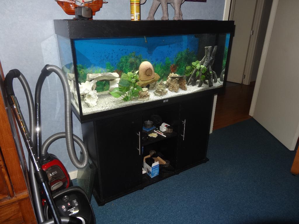 Aquarium Juwel Rio 240 LED + Meuble, Dieren en Toebehoren, Vissen | Aquaria en Toebehoren, Gebruikt, Leeg aquarium, Inclusief deksel