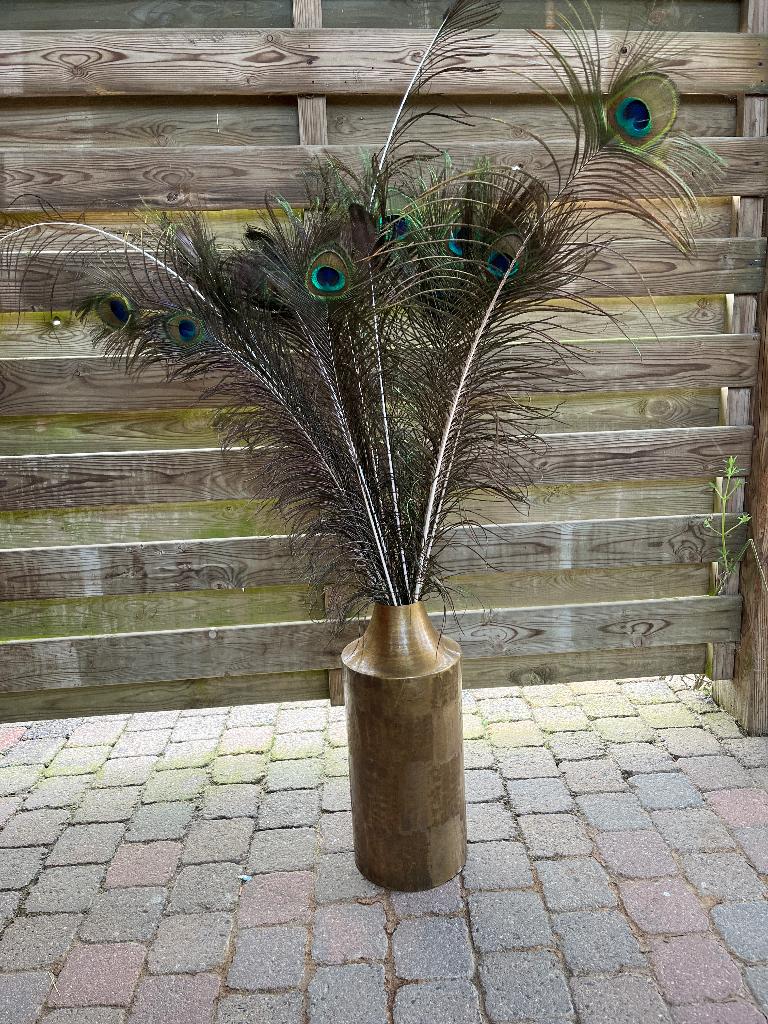Pauwenveren met vaas, Ophalen, Zo goed als nieuw