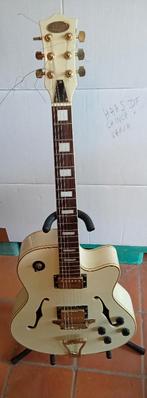 Jazzgitaarmet koffer., Muziek en Instrumenten, Hollow body, Met versterker, Zo goed als nieuw, Ophalen